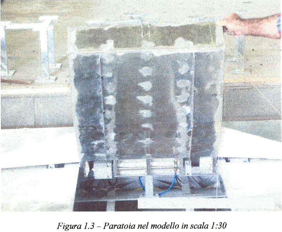 paratoia in scala 1 a 30