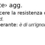 Immagine 2025-05-10 134723_01